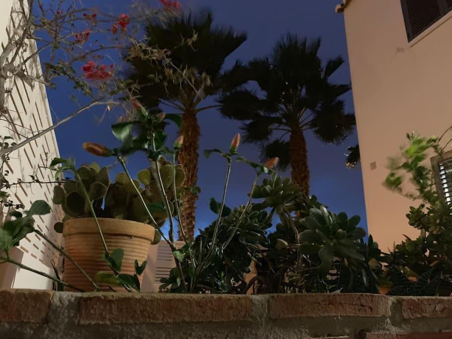 Villa Cinco Palmas Almerimar Buitenkant foto